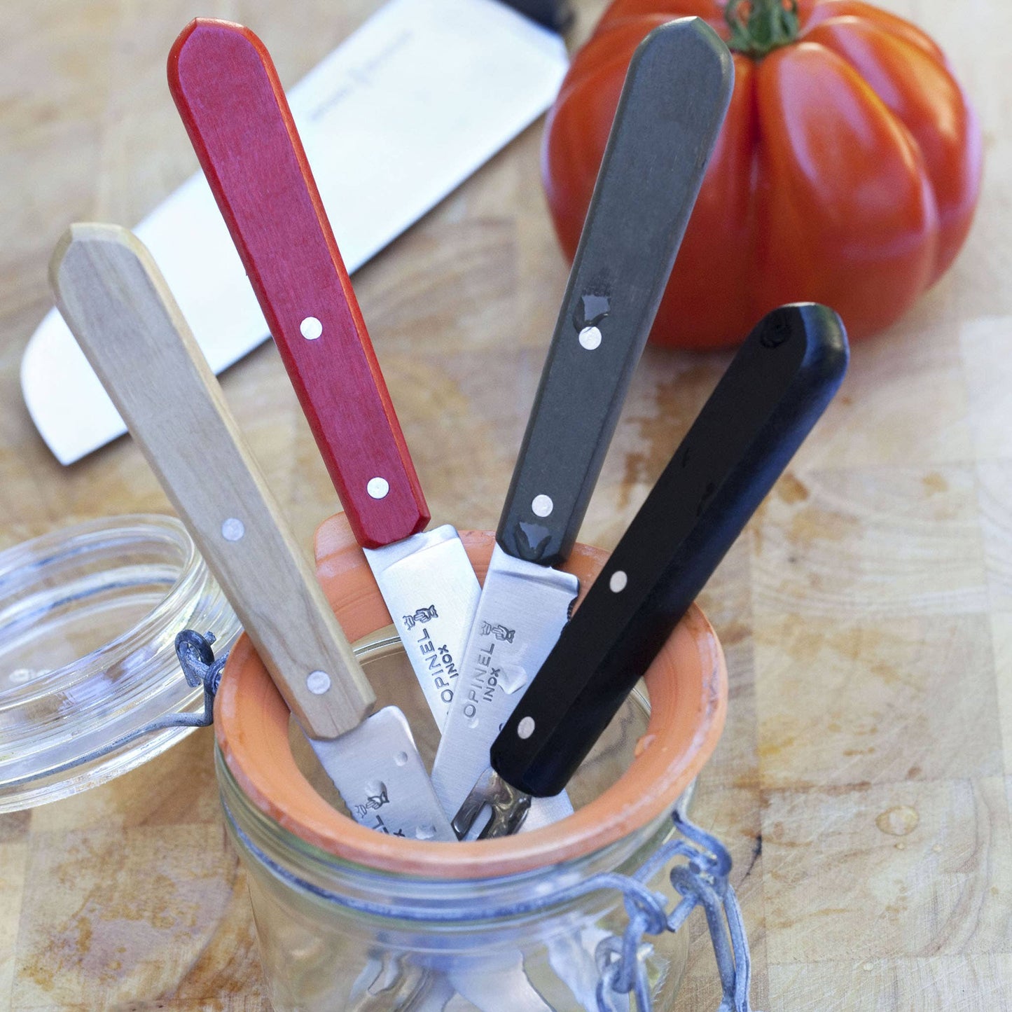 Les Essentiels Small Kitchen Knives Sets