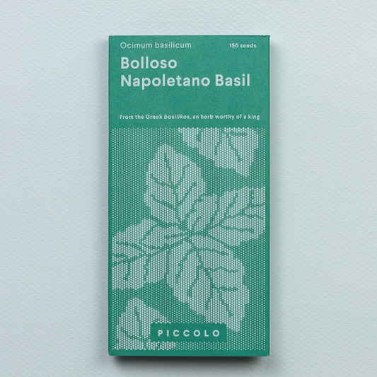 Basil Bolloso Napoletano